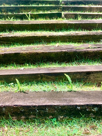 Wooden ladder with grasses.