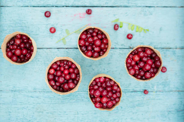 istock berry cranberries in small wicker baskets on a blue background 1528174847