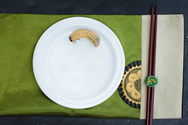 istock Large fat larva of the Maybug on white plate 1528176290
