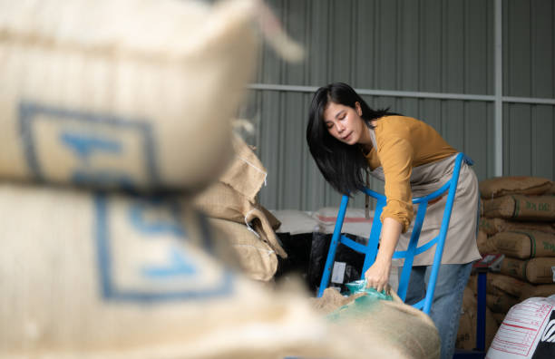 giovane bella donna asiatica nella fabbrica di sacchetti di chicchi verdi di caffè, felicità e fiducia nel business industriale del caffè e nel concetto di successo del lavoro - coffee bag green bean foto e immagini stock