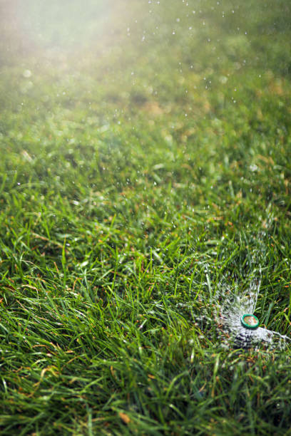 Water from a garden hose.Focus on the tip of the hose