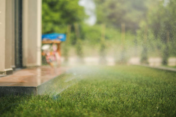 Automatic Lawn Watering, Landscape, Site Maintenance, Gardening
