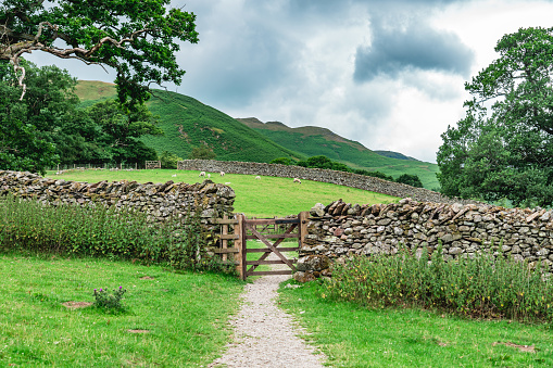 Path and dry stone wall in The Yorkshire Dales in England