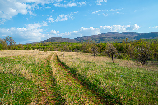 Image of a beautiful spring landscape in the south of Serbia. Suva planina mountain