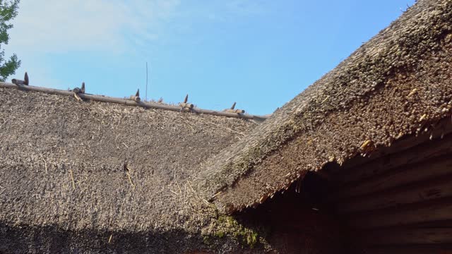 Ancient hut with a thatched roof and a backyard, an ancient interior of a building with an internal household