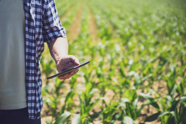 istock Smart Agriculture farming with tech 1528437195