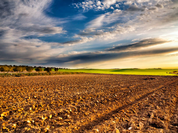 istock Countryside in Valdeciervos 1528474526