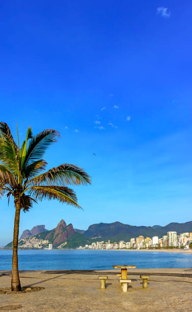 strand von ipanema in rio de janeiro - ipanema district stock-fotos und bilder