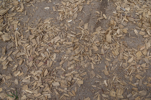 texture of woodchips on the forrest ground.