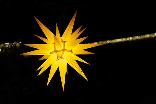 yellow poinsettia as decoration at christmas market in december in germany