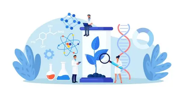 Vector illustration of Biotechnology. Engineers growing green sprouts, plants in soil with cultivation equipment in science laboratory. Science experiment, molecular analysis, biological research for medical herb purpose