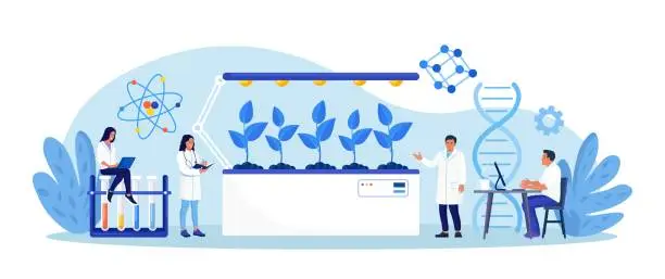 Vector illustration of Biotechnology. Engineers growing green sprouts, plants in soil with cultivation equipment in science laboratory. Science experiment, molecular analysis, biological research for medical herb purpose