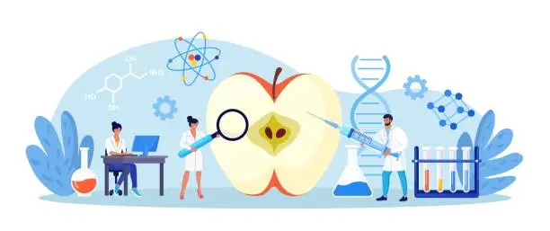 Vector illustration of Biology scientists doing research on fruits, vegetables. Genetically modified plants, foods, gmo farming. Gene technology. Bioengineering. People in uniform perform experiment with fruit in laboratory