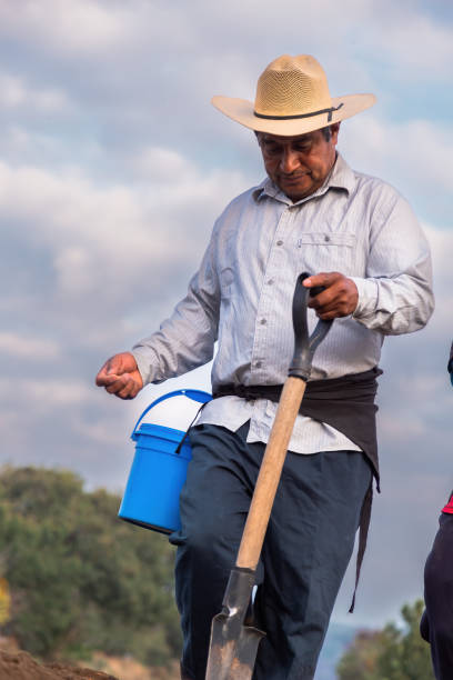 istock Hardworking Hands: Mexican Farmer Working the Land for Bean Cultivation 1528648294