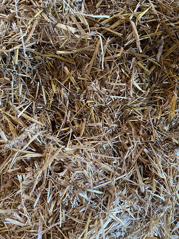 Texture of Straw. Straw is an agricultural byproduct consisting of the dry stalks of cereal plants after the grain and chaff have been removed.