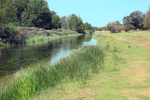 istock Amsterdamse Waterleiding Duinen 1528725262