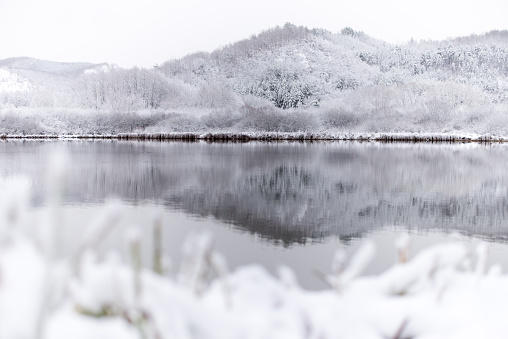 reflective water surface in winter landscape