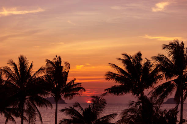 istock A tropical landscape with a bright sunset and palm trees in the foreground. 1528768958