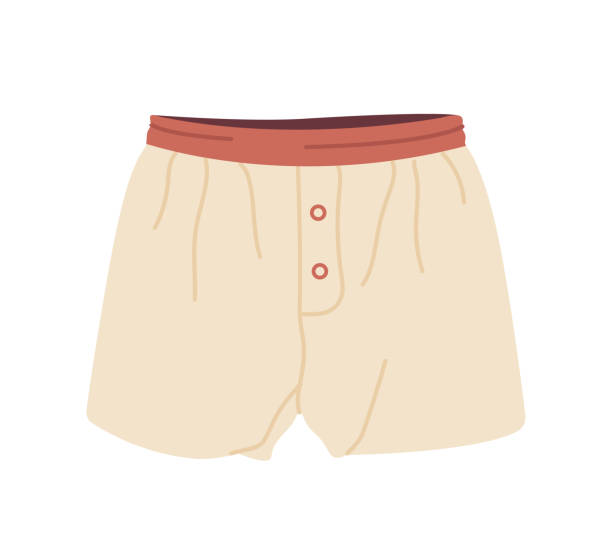 ilustrações, clipart, desenhos animados e ícones de calças de lingerie masculinas, shorts masculinos, cuecas, calções de banho, cuecas de moda isoladas no branco - shorts swimming shorts bermuda shorts beach