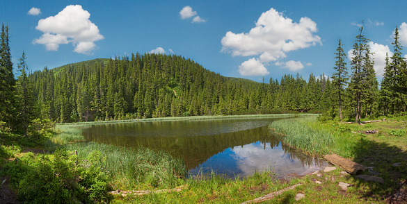 Summer mountain lake Marichejka and fir forest with blue sky reflection in (Ukraine, Chornogora Ridge, Carpathian Mountains).