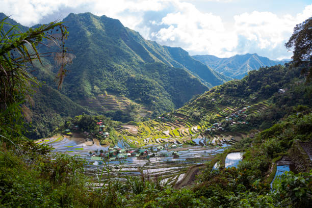 istock Batad Rice Terraces, UNESCO world heritage in Ifugao, the Philippines 1528831510