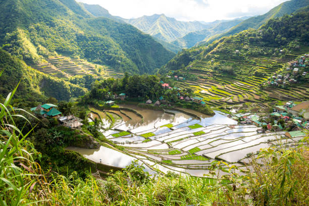 istock A mesmerizing view of Batad Rice Terraces, Luzon, Philippines 1528832033