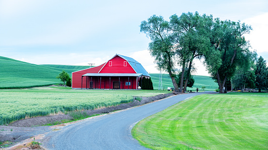 Country farm with a dirt road and bright red barn