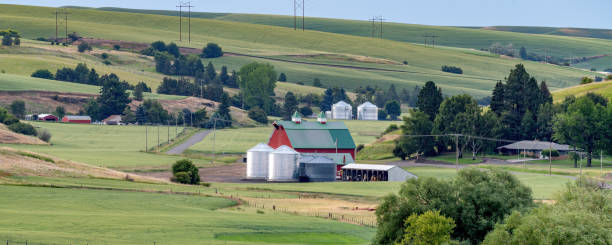 istock Red barn in Palouse farm land in Eastern Washington 1528959962