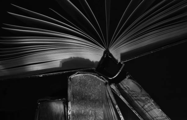 istock Open book close up, black and white, reading, education, knowledge concept. 1528966169