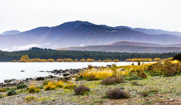 Landscape mountain view image looking out across Lake Tekapo from the Church of the Good Shepherd in New Zealand in autumn. stock photo