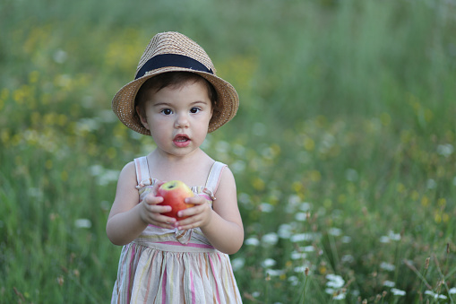 Portrait of a cute little girl eating an apple.