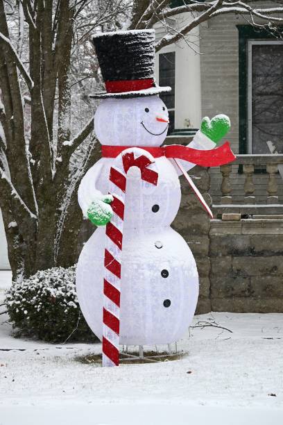 istock Electric Snowman Outdoors 1529218159