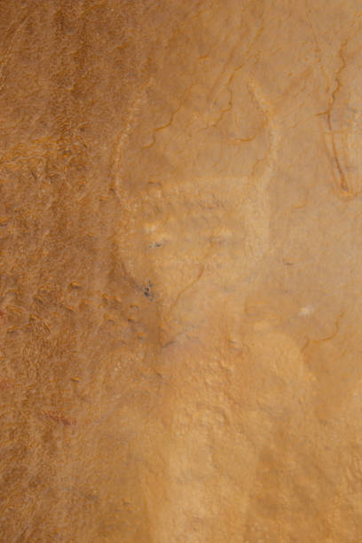 istock Petroglyphs Pictographs Dinosaur National Monument Utah 1529234580