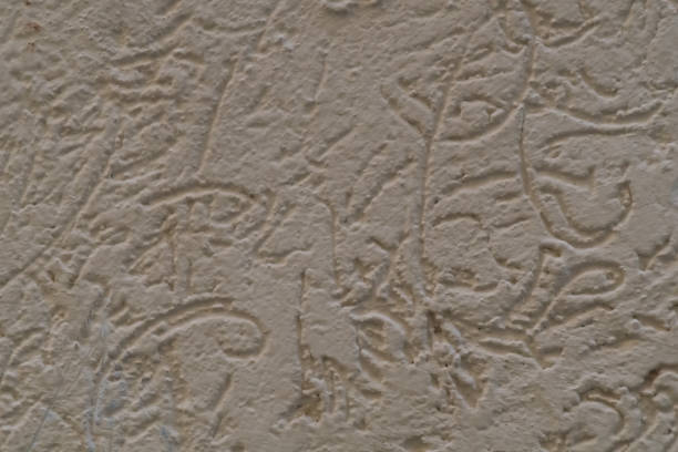 istock Drawings made by hand, using different-sized pebbles to imitate traces of beetles moving on wood and eating tree bark. Interior and exterior wall decoration dedicated to bark beetles 1529271051