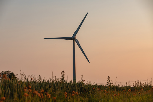 Wind farm outdoor photography. Photo of the wind farm on the agricultural field. Picture with wind turbine. Wind turbine, green energy concept. Wind turbines for renewable energy