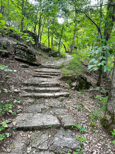istock Walkway to seemingly nowhere in lush green forest 1529334737