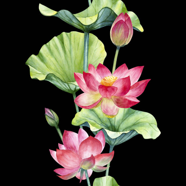 istock Watercolor lotus seamless border isolated on a black background. 1529355626