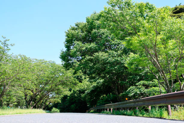 beautiful blue sky and road