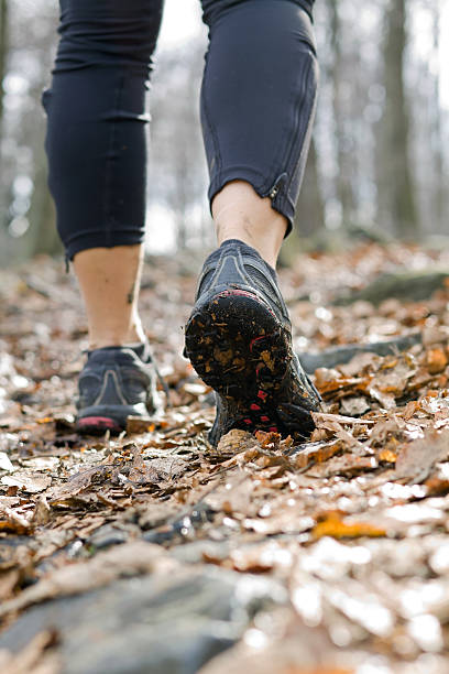 istock Hiking in autumn forest 152938070