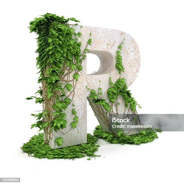 Ivy Lettera R Isolato Su Sfondo Bianco - Fotografie stock e altre immagini di Edera - Edera, Lettera R, Alfabeto