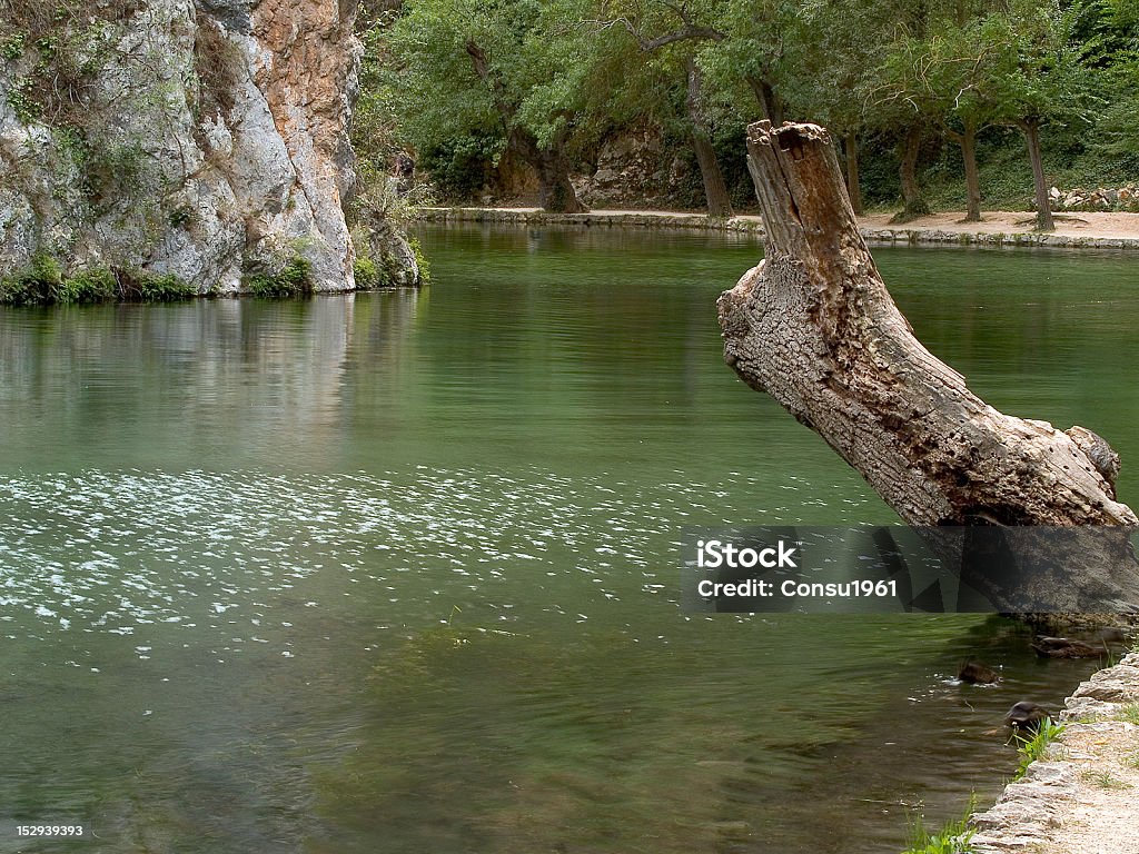 Pond Pond Monasterio de Piedra, Zaragoza Province, Aragon, Spain. Backwater Stock Photo
