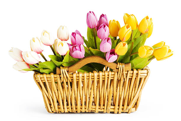 istock Bunch of tulip flowers on the table 152939569