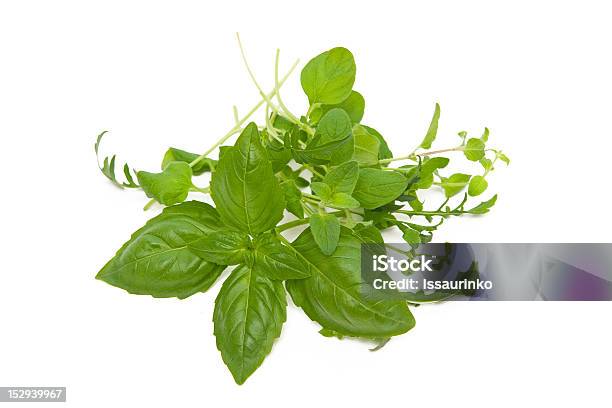 Herbs Stock Photo - Download Image Now - Appetizer, Arugula, Basil