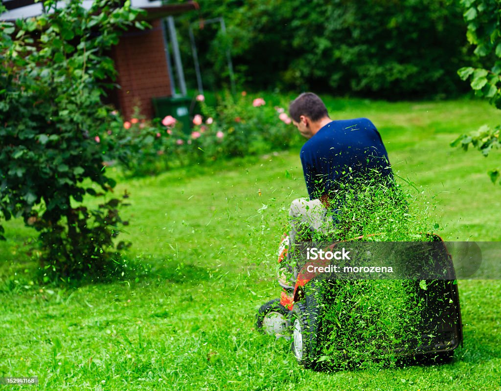 Ride-on lawn mower cutting grass. Focus on grasses in air. Stock photo of ride-on lawn mower cutting grass. Focus on grasses in the air. Lawn Mower Stock Photo