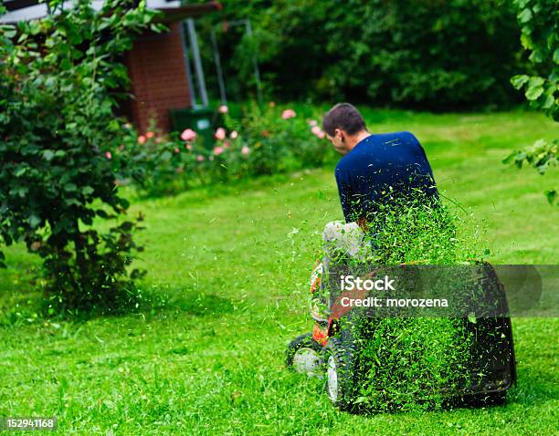 Rideon Lawn Mower Cutting Grass Focus On Grasses In Air Stock Photo - Download Image Now