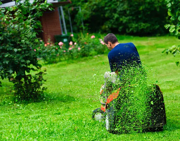 Photo of Ride-on lawn mower cutting grass. Focus on grasses in air.