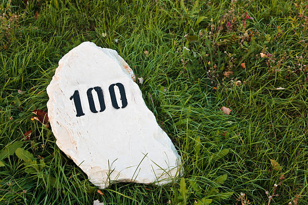 Mile stone im Gras – Foto