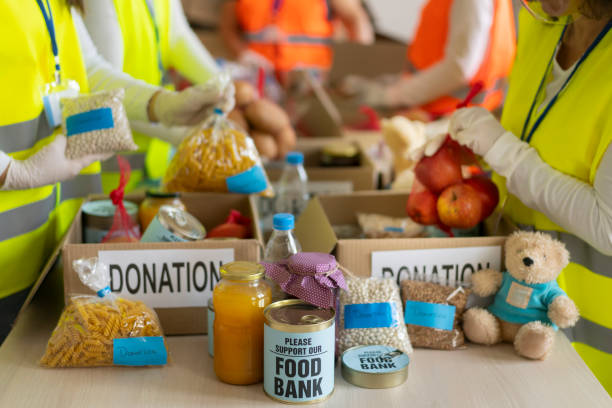 istock Food donation for poor people 1529419958