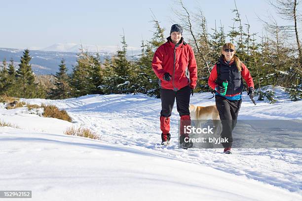 Couple Winter Walking Hiking In Mountains Stock Photo - Download Image Now - Winter, Hiking, Couple - Relationship