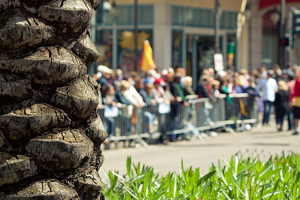 vue sur le défilé - mardi gras parade new orleans grass photos et images de collection